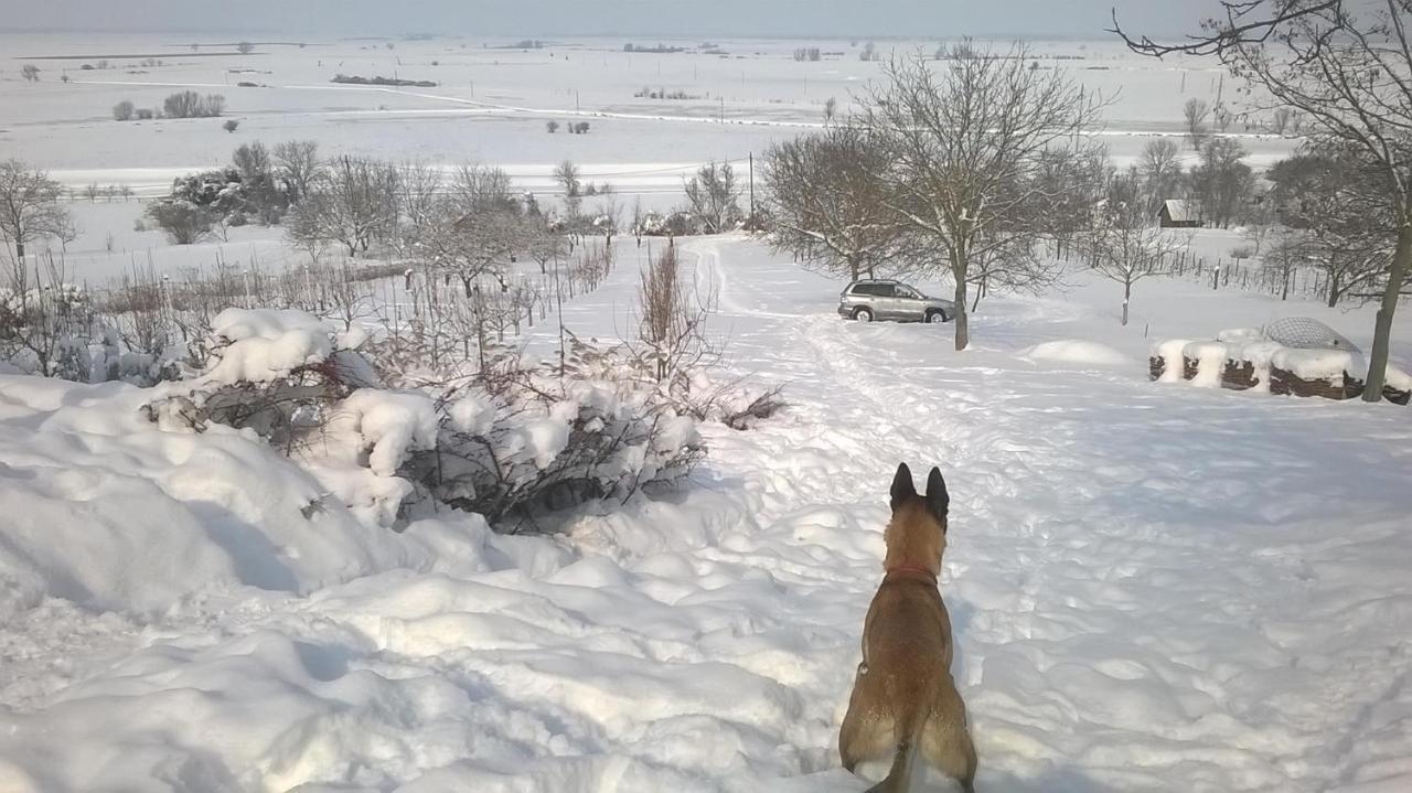 Baranja Black Hill'S Gajic Exteriör bild