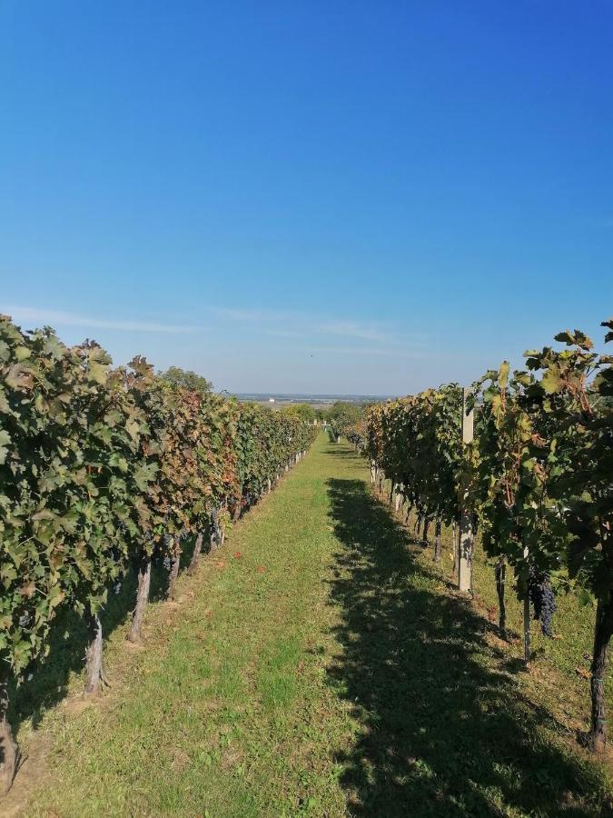 Baranja Black Hill'S Gajic Exteriör bild